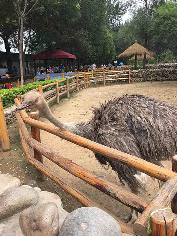 "_杭州动物园"的评论图片