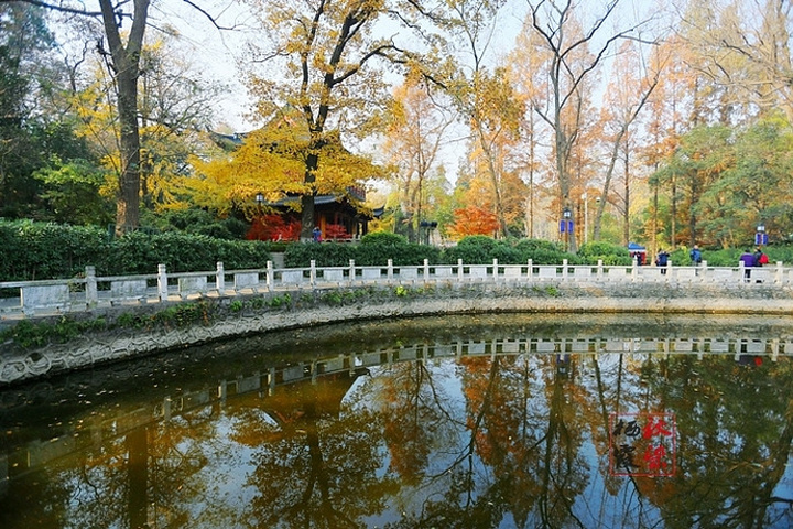 "都说秋风扫落叶，加上最近天气多变且恶劣，担心枫叶掉光，等真正来到栖霞山，赤橙黄绿、层林尽染，美丽非常_栖霞山"的评论图片