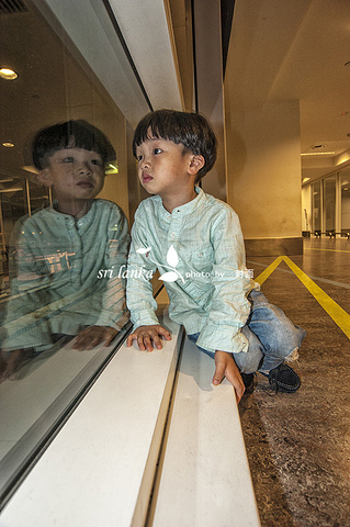 2016亚航飞科伦坡随说机票便宜不过最麻烦._