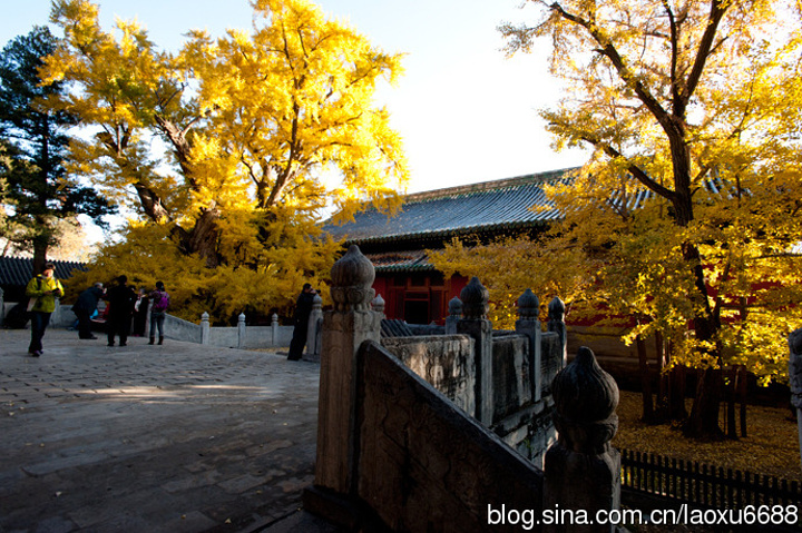 "大觉寺，又称大觉禅寺，西山大觉寺，是位于北京西郊阳台山（旸台山）南麓的一座千年古刹，以清泉、古..._大觉寺"的评论图片