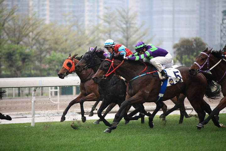 2017跑马地一般每周三晚上举行赛赛_沙田马场