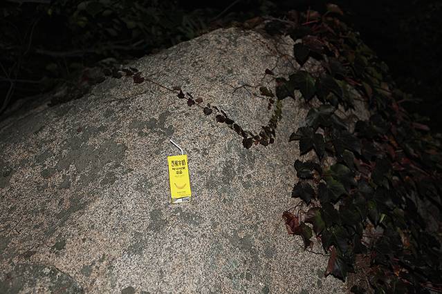 千般袅娜,万般旖旎--青岛之行