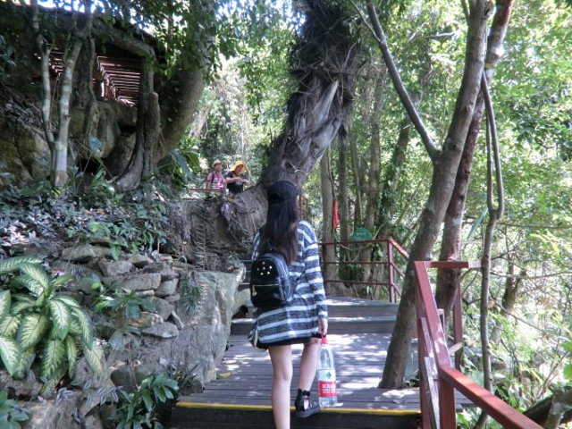 2017倒是那个飞瀑索道还值得一玩_呀诺达雨林