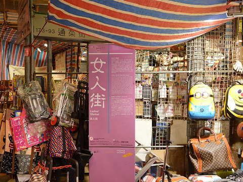 旺角通菜街旅游景点图片