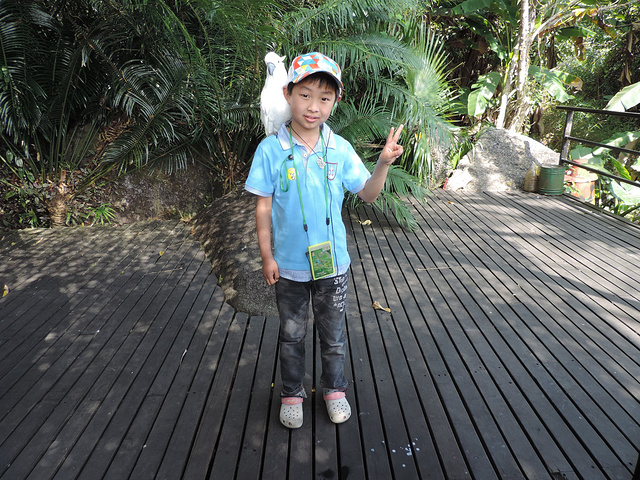 2017呀诺达雨林景区位于海南省保亭黎族苗族