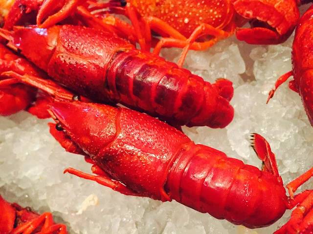 武汉万达瑞华酒店·美食汇全日自助餐厅