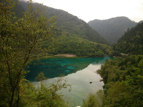 九寨沟-五花海旅游景点攻略图