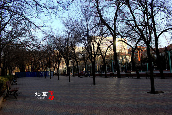 北京外国语大学