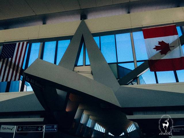 布法罗尼亚加拉国际机场