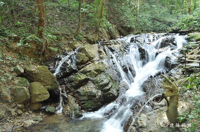 莫里热带雨林景区