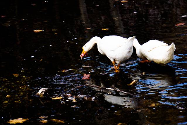 桃源仙谷自然风景区