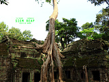 柬埔寨旅游景点攻略图片