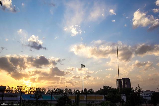 东北大学(秦皇岛分校)