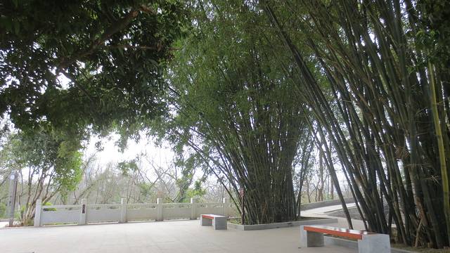 瑞金共和国摇篮旅游区