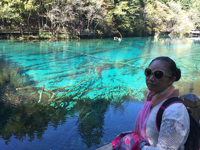 "五花海是湖水最清的地方，水中一切均清晰可见，湖水因观看角度的不同呈现不同的色彩_九寨沟-五花海"的评论图片