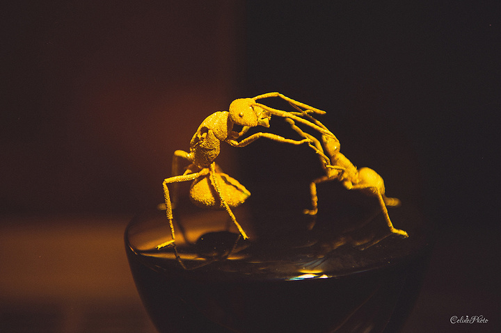 黄金做的蚂蚁,特别精致.