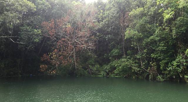 厌倦了都市?看腻了大海?去山林中吸氧吧
