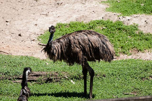 可伦宾野生动物保护区