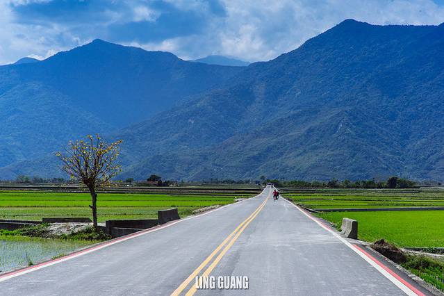 2023伯朗大道门票,台东伯朗大道游玩攻略,伯朗大道游览攻略路线/地址/门票价格【去哪儿攻略】