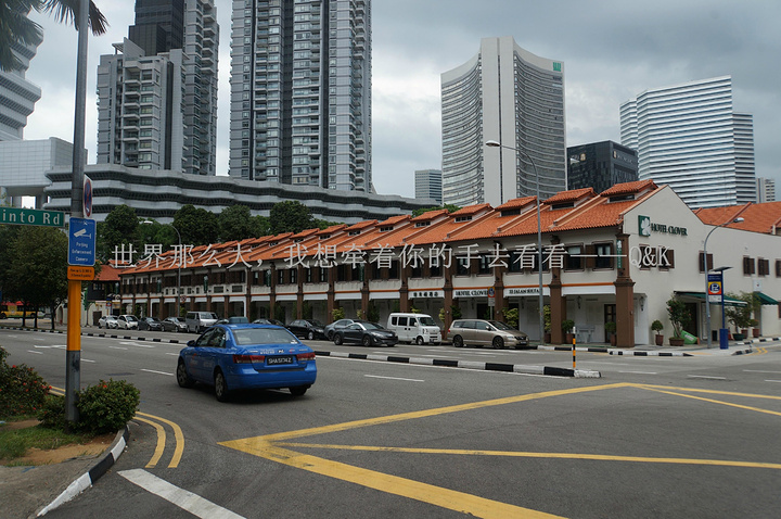 2017新加坡不亏是花园城市,到处都是绿色。小