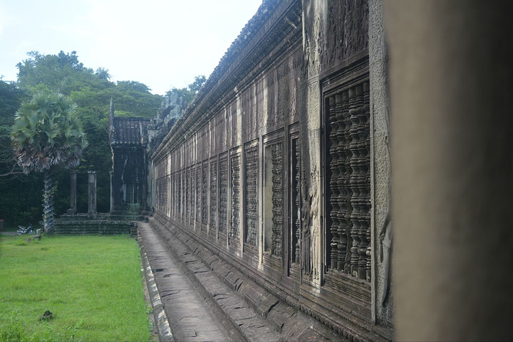 拍过的日出,但是很满足,对了,这个树,怎么看都像龙珠里,那美克星的树