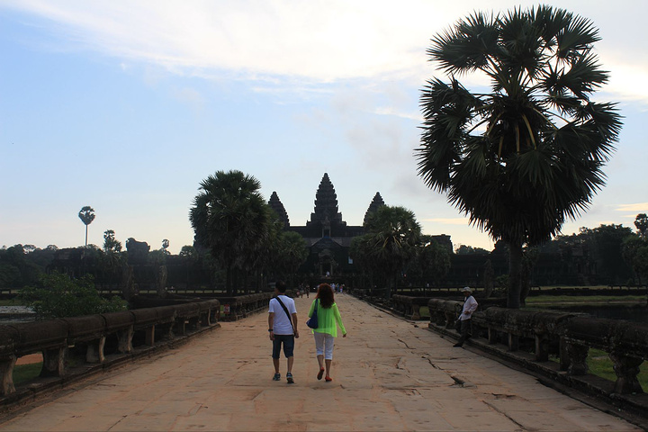 拍过的日出,但是很满足,对了,这个树,怎么看都像龙珠里,那美克星的树
