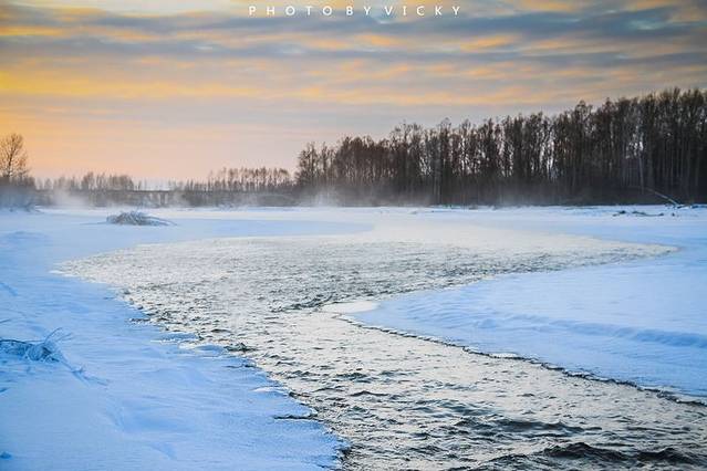 呼中自然保护区