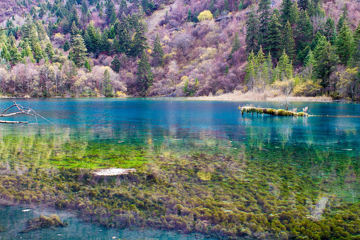 建议去游玩的要多带些吃的里面的餐厅很贵还有不要