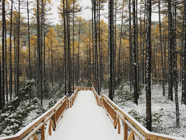 莫尔道嘎国家森林公园