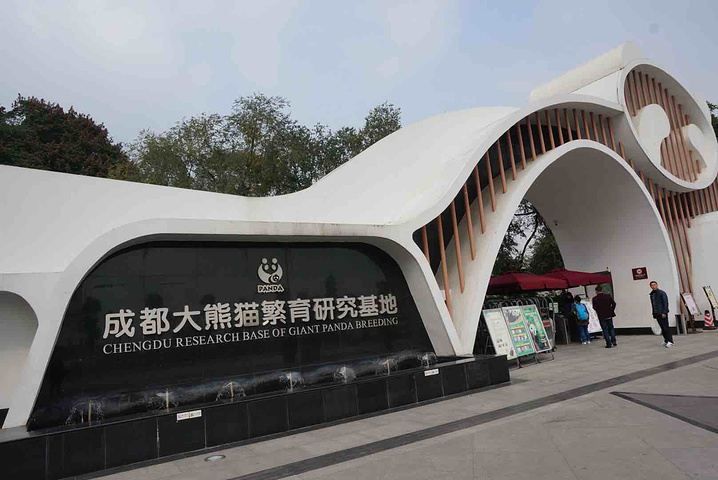 2024_成都大熊猫繁育研究基地-评论-去哪儿攻略