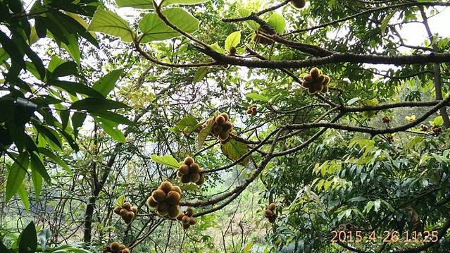 清远笔架山旅游度假区