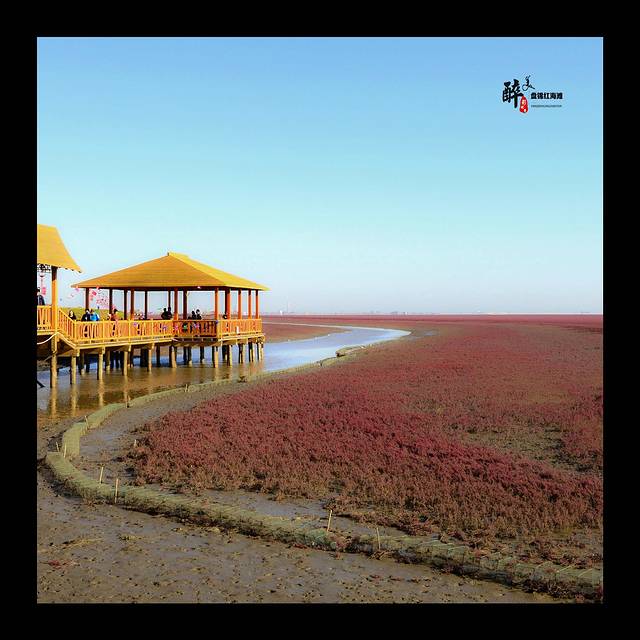 双台河口自然保护区