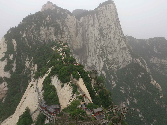 "...别是长空栈道和鸽子翻身这两个景点是华山最险的，在长空栈道外面排队的时候往悬崖下看去，脚都会发抖_华山"的评论图片