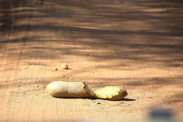 曼雅拉湖国家公园