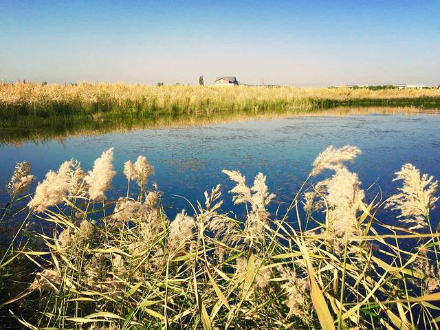 张掖国家湿地公园
