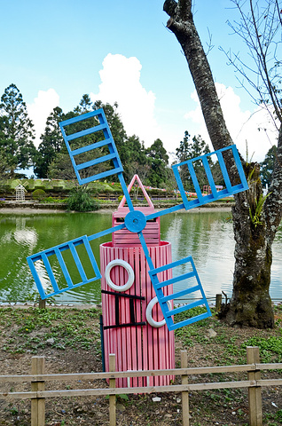 既能当阴,又能很好地将花园与外界隔开。