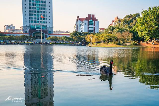 厦门大学-芙蓉湖