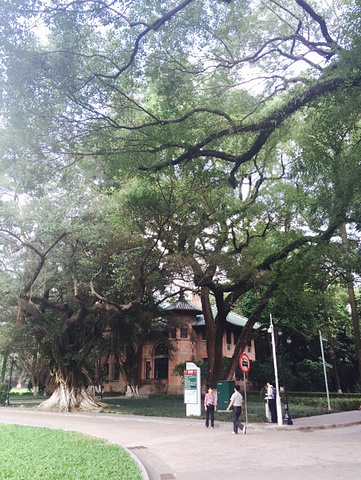 "沿南门那条大路一直走走到北门，一路风景百态，美丽极了。校内空气特别好，在这里生活会延年益寿的吧_中山大学（南校区）"的评论图片