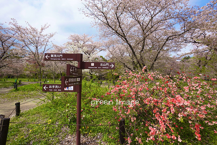 2017半木之道的尽头就是京都植物园。在这里
