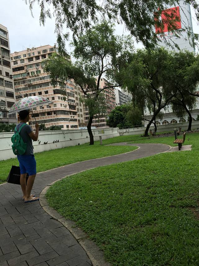 熊哥兔妹带你逛香港