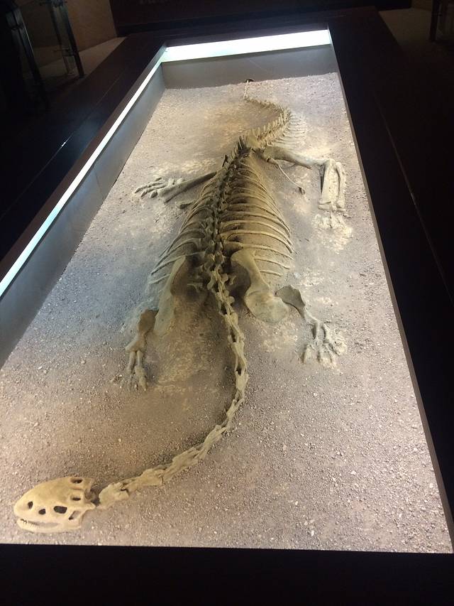 中国禄丰侏罗纪恐龙遗址公园