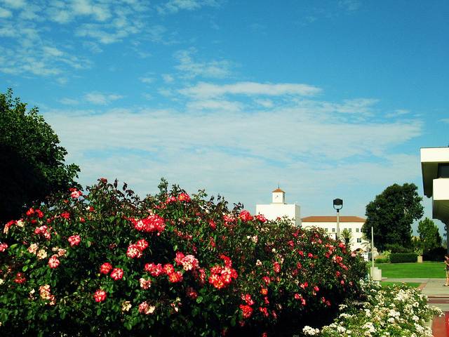 加州大学圣地亚哥分校