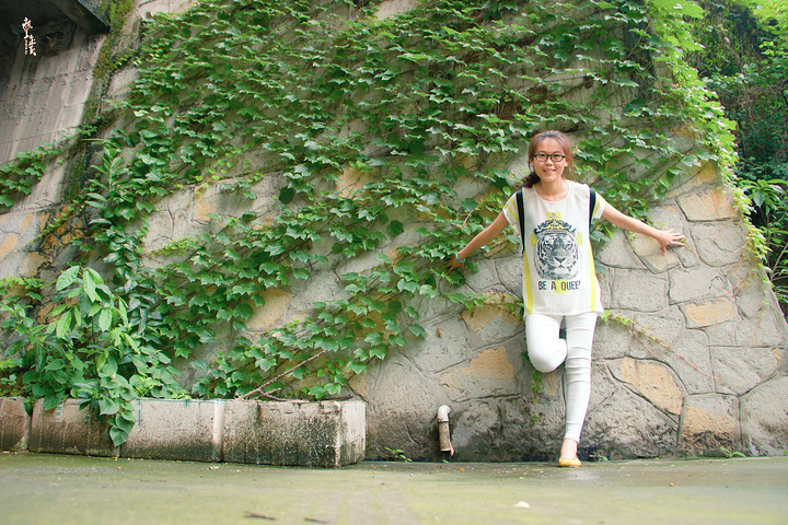 校园--是只有在离开之后才会发觉的最美丽.