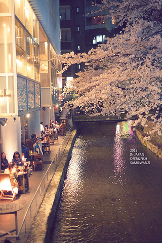 "听说很多居酒屋可以喝着小酒，观赏鸭川夜景。时尚商业化的酒吧街，却流动着百年古老的气息_先斗町"的评论图片