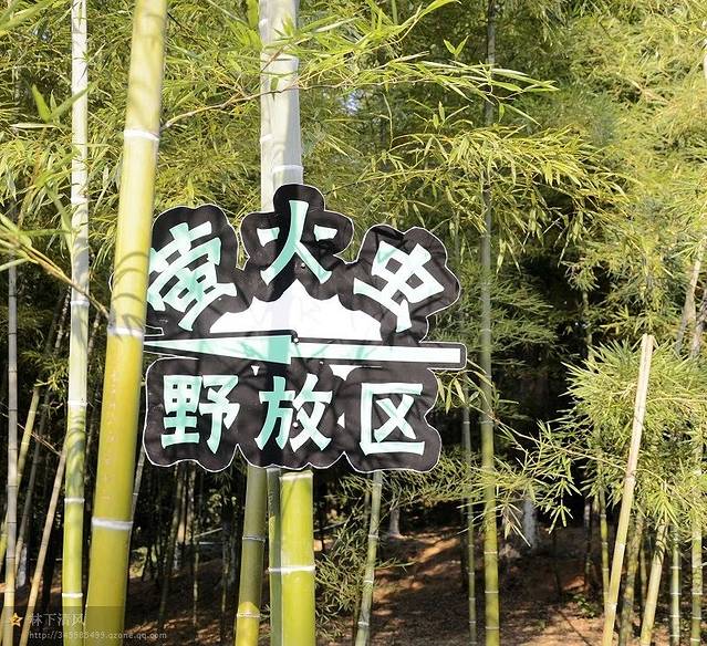 天际岭国家森林公园