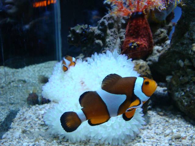 太平洋海底世界