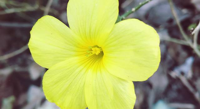 踏寻佛陀之地,探访教父之门