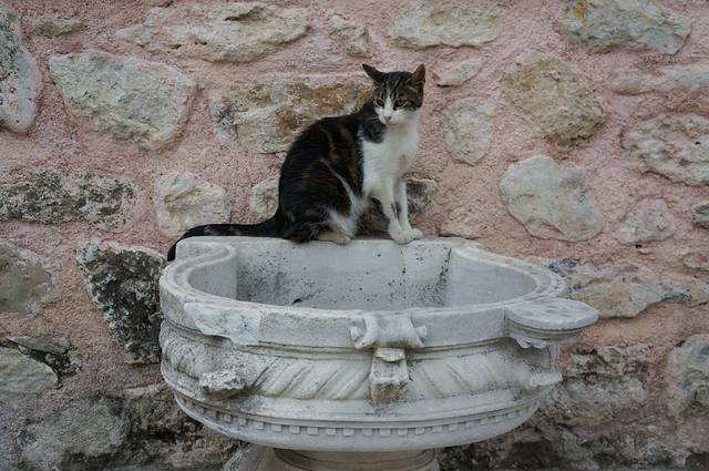 小圣索菲亚教堂