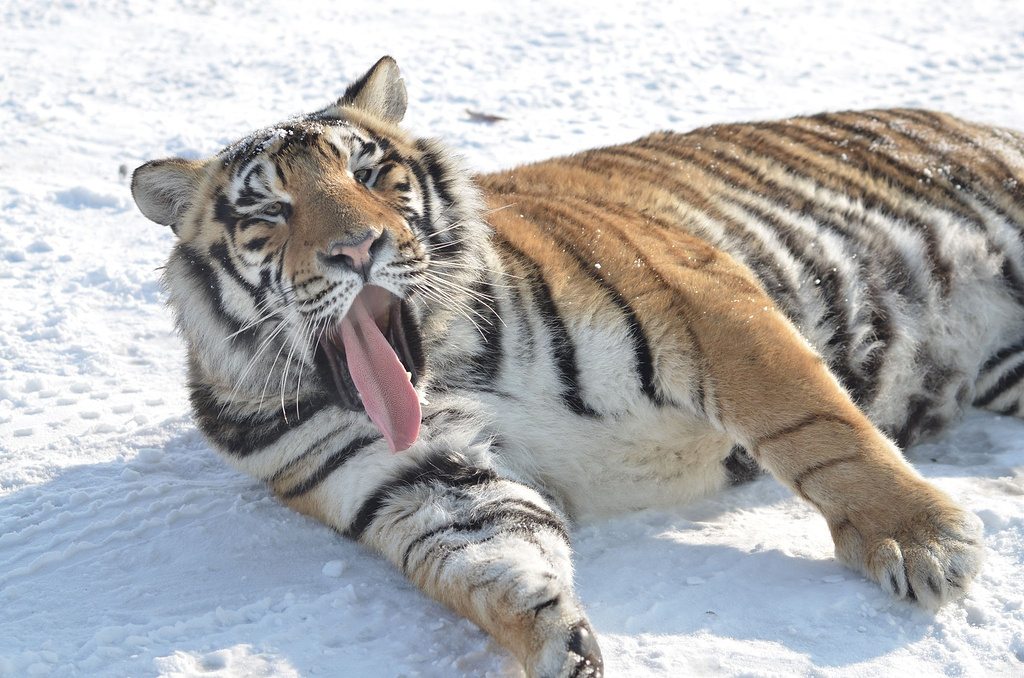 长白山探险之旅
