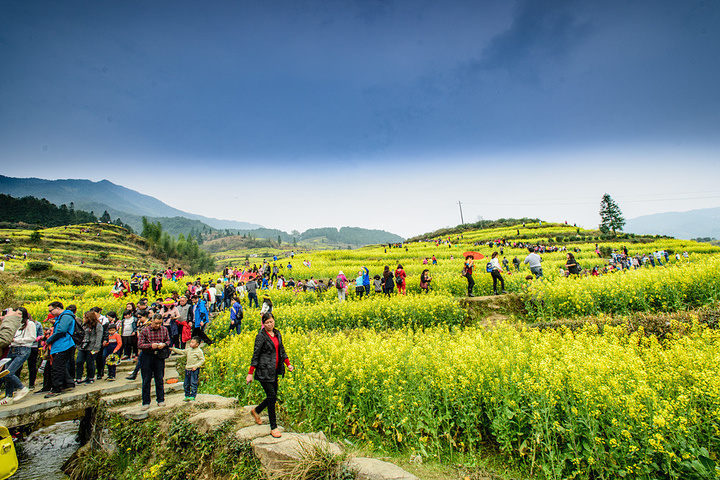 婺源的旅游旺季就这么一个月_江岭景区"的评论图片